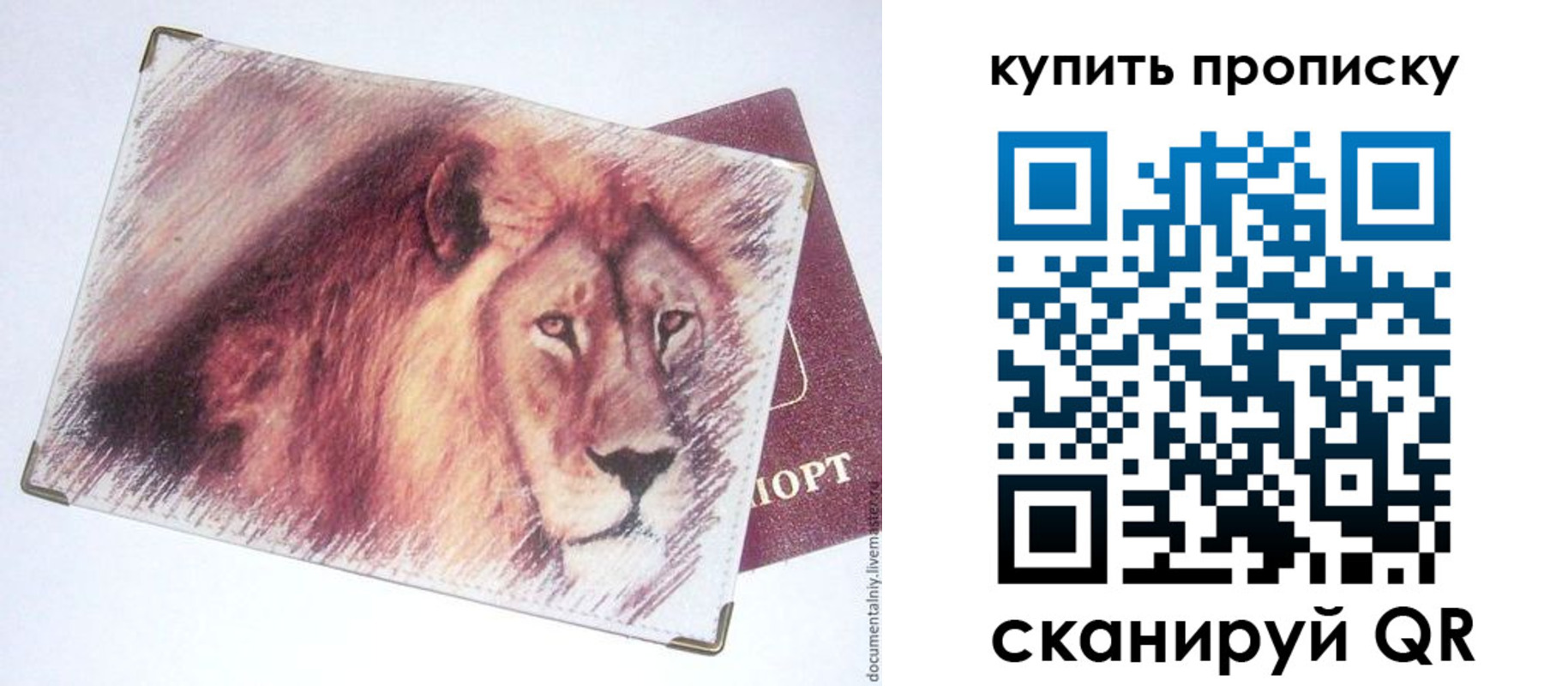 прописка паспорт в Десногорске